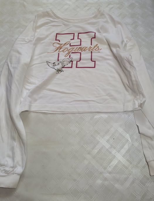 Croptop Harry Potter