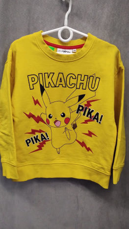 Mikina Pokémon