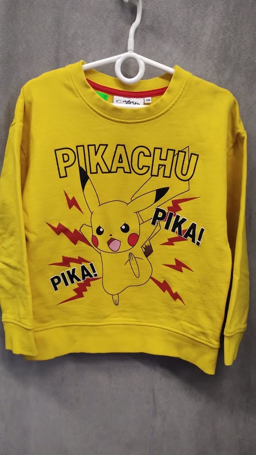 Mikina Pokémon