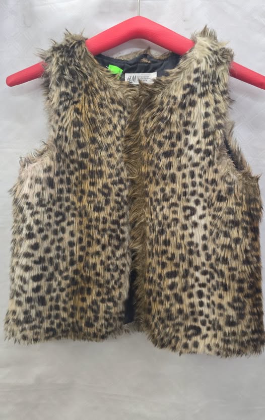 H&M vesta