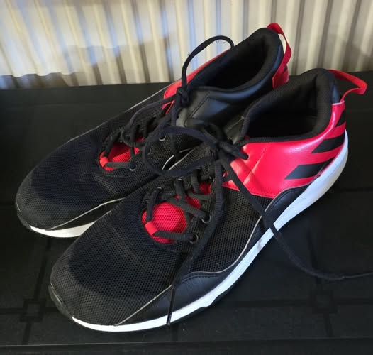 Adidas botasky