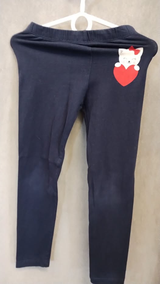 Legíny
