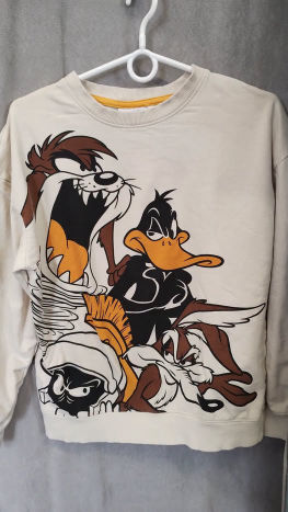 Mikina Looney Tunes