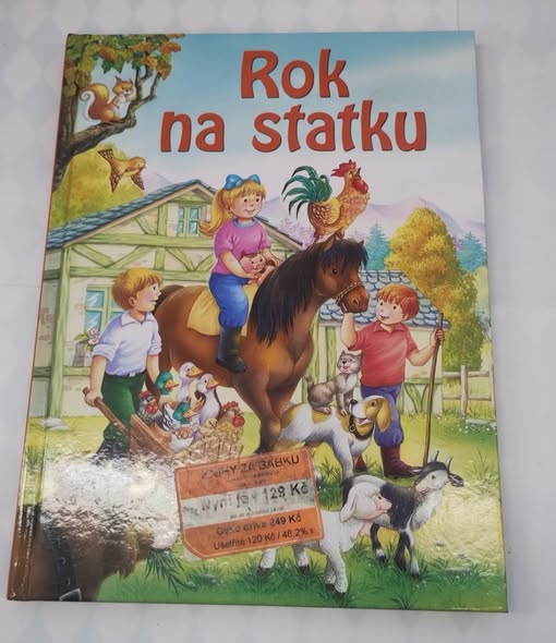 Kniha Rok na statku