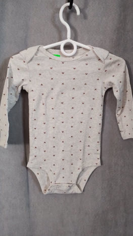 Body Carters