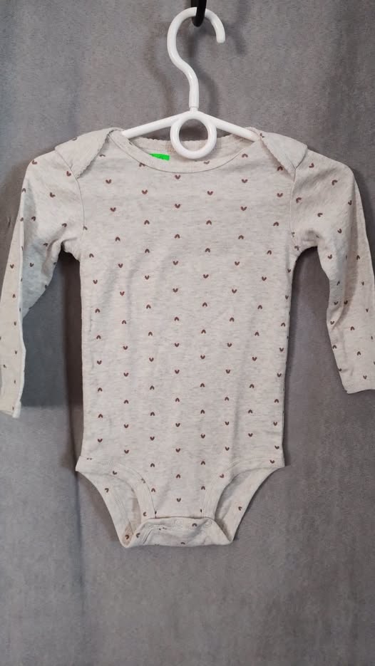 Body Carters