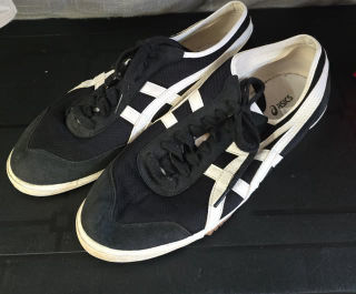 Asics botasky
